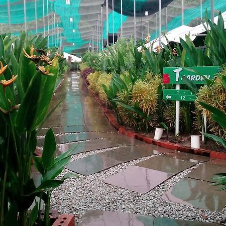 Villa T Garden Pantai Cenang  Exterior foto