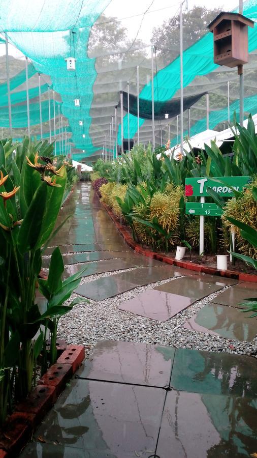 Villa T Garden Pantai Cenang  Exterior foto