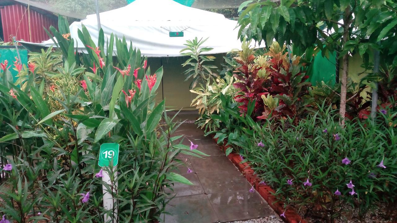 Villa T Garden Pantai Cenang  Exterior foto